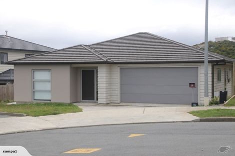 Photo of property in 30 Trelawny Terrace, Grenada Village, Wellington, 6037