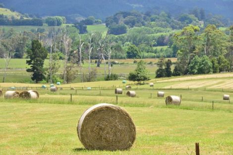 Photo of property in 74 Wyllie Road, Warkworth, 0981