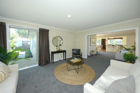 Photo of property in 39 Middlepark Road, Sockburn, Christchurch, 8042