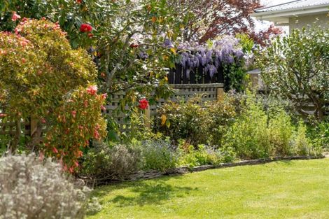 Photo of property in 5 Cooper Street, Lansdowne, Masterton, 5810