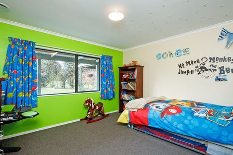 Photo of property in 155 Raukawa Road, Ashhurst, Palmerston North, 4470