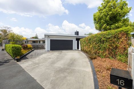 Photo of property in 16 Donny Avenue, Chartwell, Hamilton, 3210