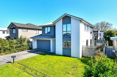 Photo of property in 9 Waituarua Drive, Takanini, 2112