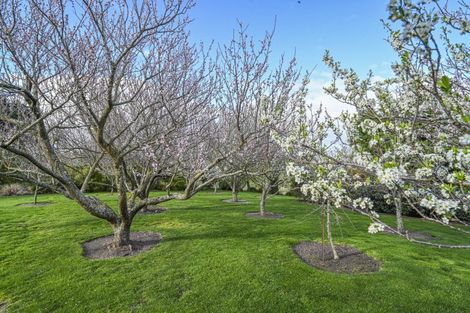 Photo of property in 749 Whakapirau Road, Maraekakaho, Hastings, 4174