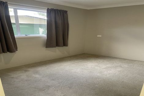 Photo of property in 160 Roslyn Road, Levin, 5510