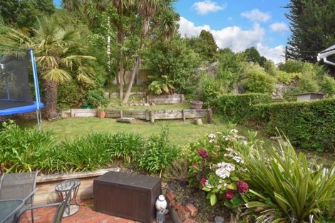 Photo of property in 53 Morrison Street, Caversham, Dunedin, 9012