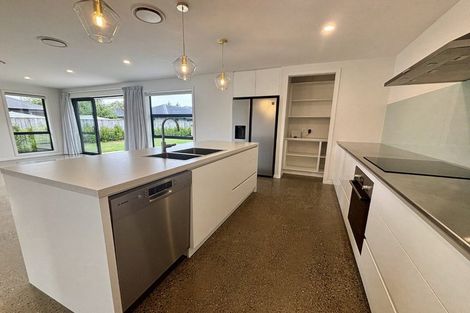 Photo of property in 21 Mcnabb Place, Witherlea, Blenheim, 7201