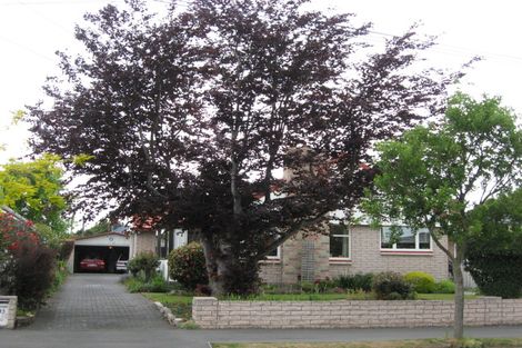 Photo of property in 43 Springbank Street, Bryndwr, Christchurch, 8053