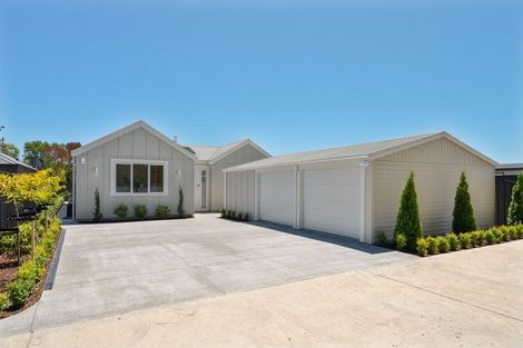 Photo of property in 45b Weld Street, Martinborough, 5711
