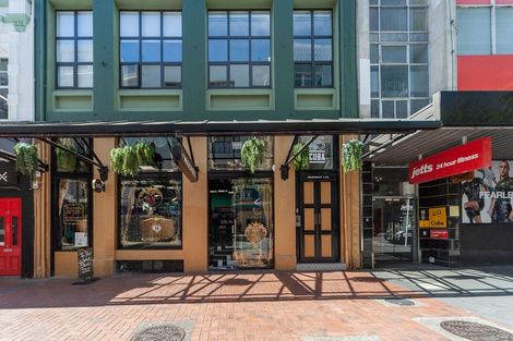 Photo of property in Arco House, 2/45 Cuba Street, Te Aro, Wellington, 6011