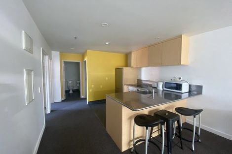 Photo of property in Hanson House, 7a/27 Hanson Street, Mount Cook, Wellington, 6021