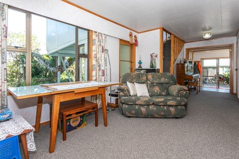 Photo of property in 109 Irishtown Road, Thames, 3500