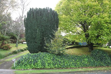 Photo of property in 38 Station Street, Tirau, 3410