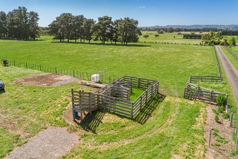 Photo of property in 59 Maungahau Road, Waingawa, Carterton, 5791