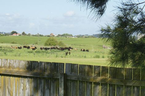 Photo of property in 46 Matipo Street, Takaro, Palmerston North, 4410