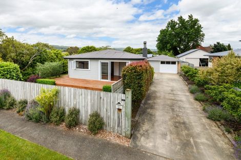 Photo of property in 51 Lincoln Street, Ashhurst, 4810