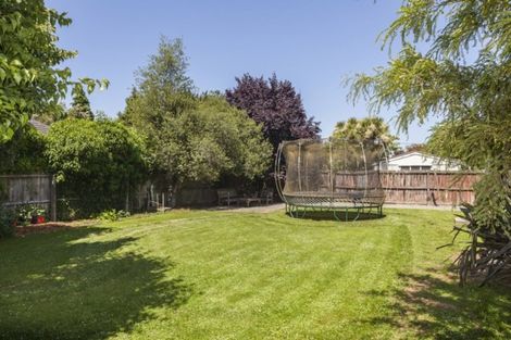 Photo of property in 230 Condell Avenue, Papanui, Christchurch, 8053