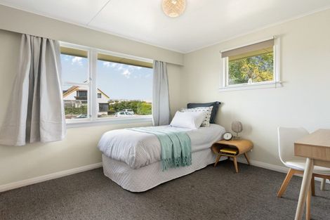 Photo of property in 19 Hale Street, Blenheim, 7201