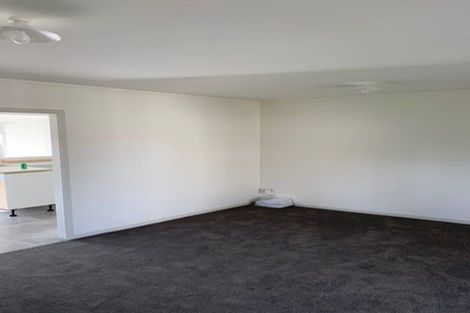 Photo of property in 29 Bunnythorpe Road, Papakura, 2110