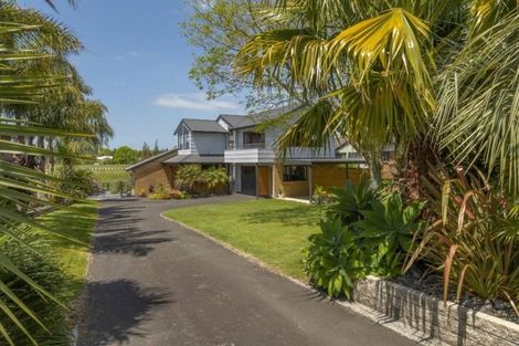 Photo of property in 52 Links View Drive, Omokoroa, 3114