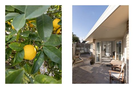 Photo of property in 117a Valley Road, Mount Maunganui, 3116