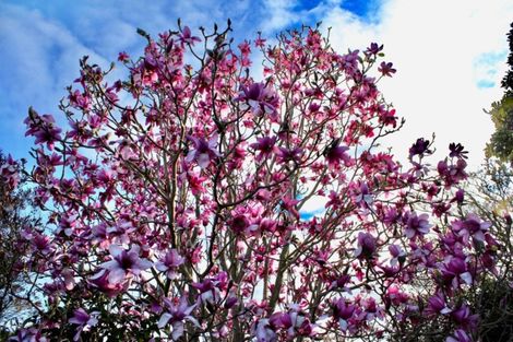 Photo of property in 15 Gleeson Road, Manakau, Levin, 5573