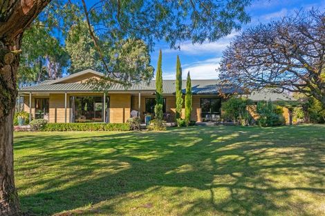 Photo of property in 427 Northbank Road, Kaituna, Blenheim, 7275