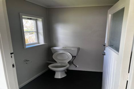 Photo of property in 59 Hutchinson Avenue, New Lynn, Auckland, 0600