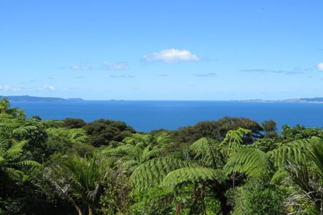 Photo of property in 536 Tuateawa Road, Tuateawa, Coromandel, 3583