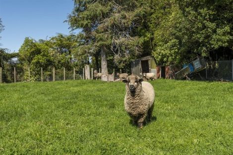 Photo of property in 986 Pyes Pa Road, Pyes Pa, Tauranga, 3173