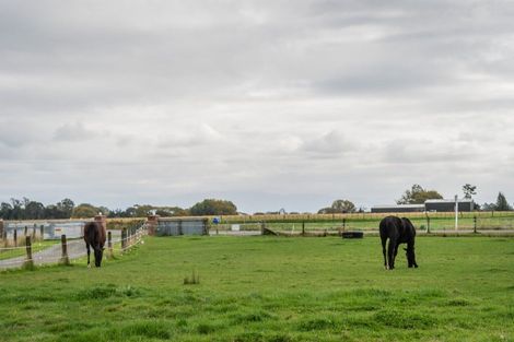 Photo of property in 131 Station Road, Temuka, 7985