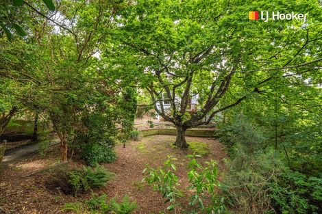 Photo of property in 58 Chambers Street, North East Valley, Dunedin, 9010