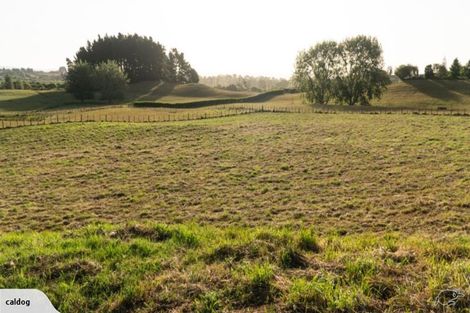 Photo of property in 153 Exelby Road, Burbush, Hamilton, 3289