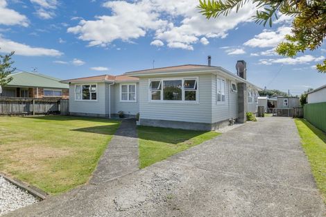 Photo of property in 16 Reeve Street, Levin, 5510