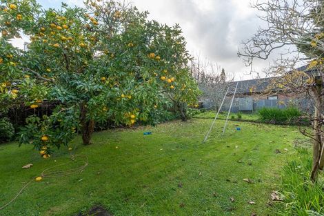 Photo of property in 422 Tristram Street, Whitiora, Hamilton, 3200