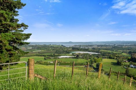 Photo of property in 225d Woodland Road, Tahawai, Katikati, 3170