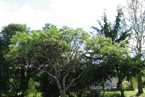 Photo of property in 103 Birrell Street, Elgin, Gisborne, 4010