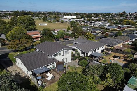 Photo of property in 19 Maple Avenue, Dinsdale, Hamilton, 3204