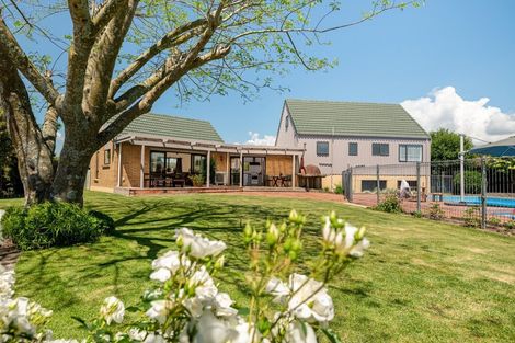 Photo of property in 8 Raupo Place, Matamata, 3400