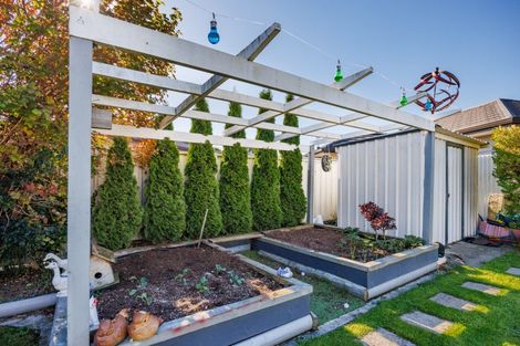 Photo of property in 12 Lancewood Lane, Roslyn, Palmerston North, 4414