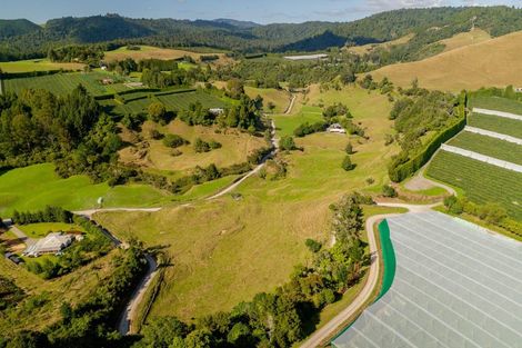 Photo of property in 1382 No 3 Road, Te Puke, 3183