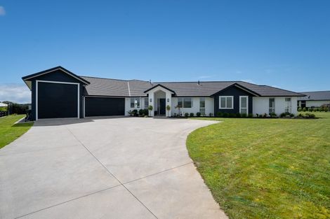 Photo of property in 12 Mike Smith Drive, Cambridge, 3434