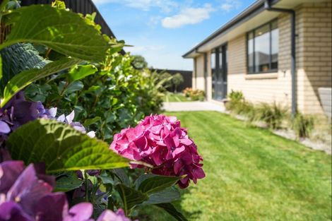 Photo of property in 16 Cherry Avenue, Darfield, 7510