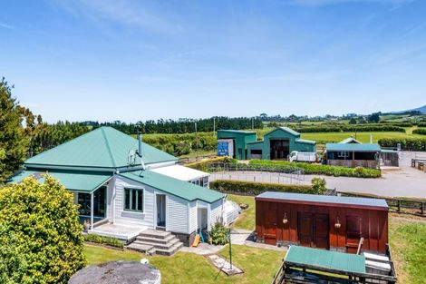 Photo of property in 1 Waingongoro Road, Cardiff, Stratford, 4391