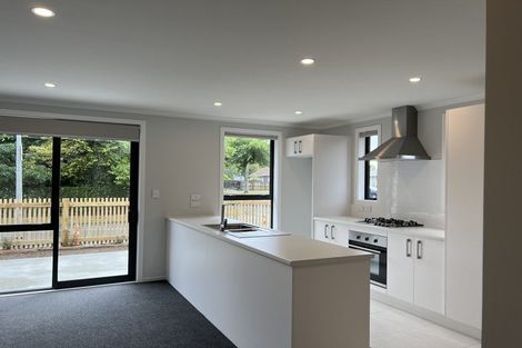 Photo of property in 1/49 Holland Road, Fairfield, Hamilton, 3214