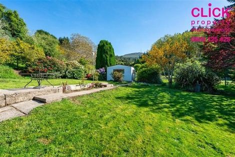 Photo of property in 187 Norwood Street, Normanby, Dunedin, 9010