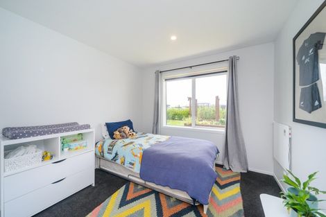 Photo of property in 60 Wapiti Avenue, Feilding, 4775