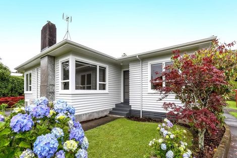 Photo of property in 13 Thames Street, Welbourn, New Plymouth, 4310