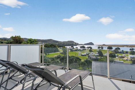 Photo of property in 43 Olsen Avenue, Mangawhai Heads, Mangawhai, 0505