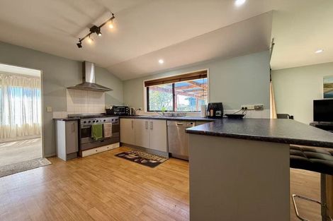 Photo of property in 19 Roy Maloney Drive, Henderson, Auckland, 0612